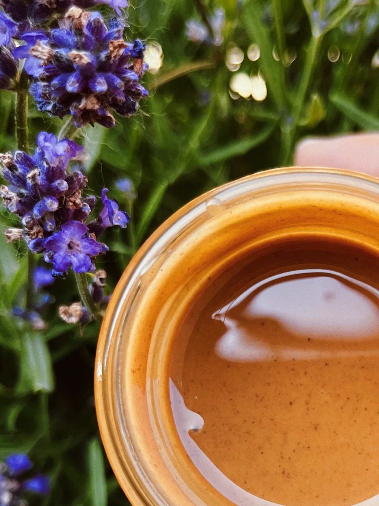 Hazel 1 Luscious Hazelnut Spread